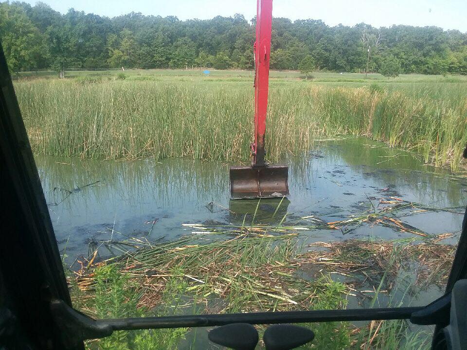 pond cleaning